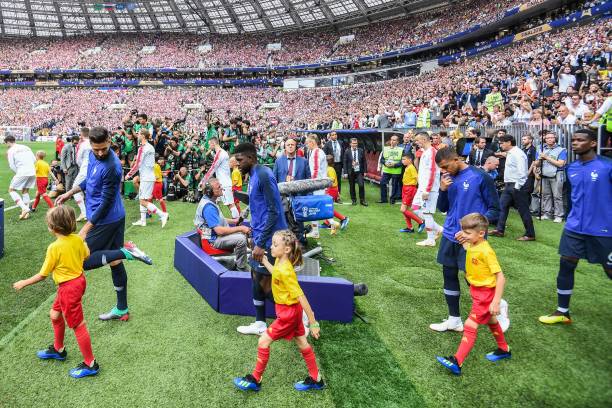 灰熊在过去 灰熊在过去