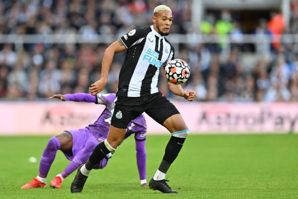 凭借其灵活 凭借其灵活